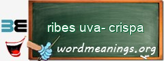 WordMeaning blackboard for ribes uva-crispa